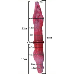 DoublePlayz Double gode Duo Hand Monster 42 x 6cm